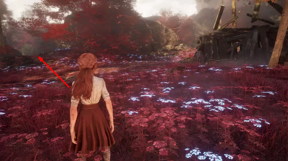 클레르 옵스퀴르 33 원정대 Ancient Sanctuary Colour Of Lumina B