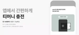 Read more about the article 카카오뱅크 미니카드로 교통비 할인받기! 초등학생도 쉽게 이해하는 꿀팁 정리