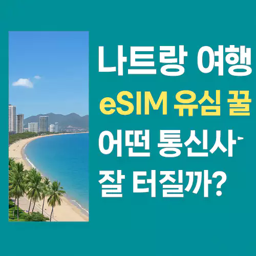 Read more about the article 나트랑 여행 eSIM 유심 꿀팁 총정리! 어떤 통신사가 잘 터질까?