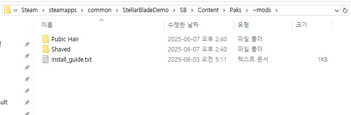 스텔라 블레이드 모드 설치