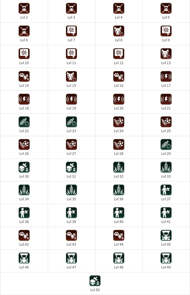 벡스 스킬 순서