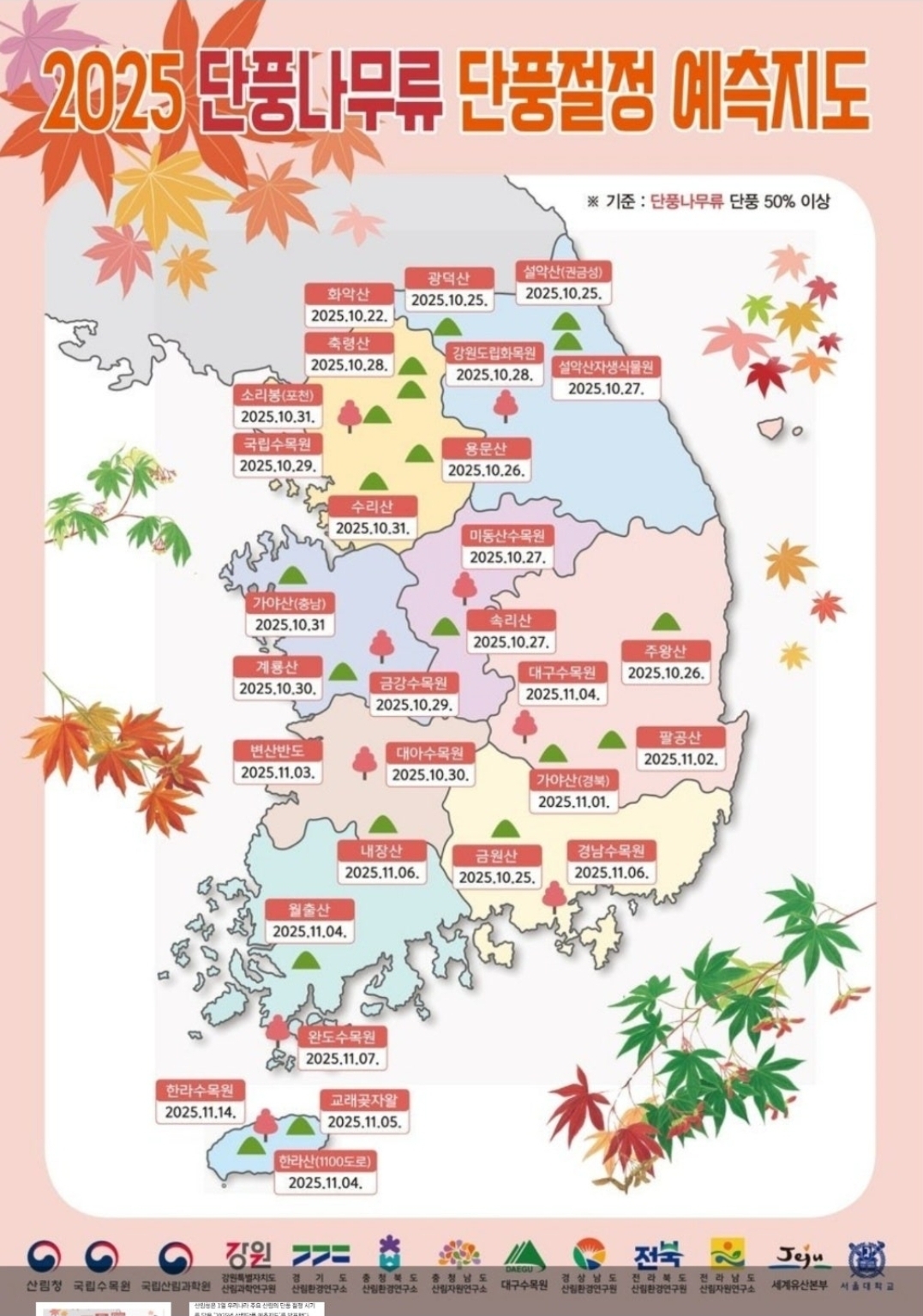 Read more about the article 2025년 전국 단풍나무 단풍 절정 지도 발표! (가을 단풍놀이 계획)